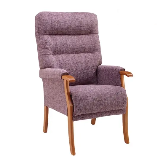 Orwell Fireside Chair - Shire Mobility